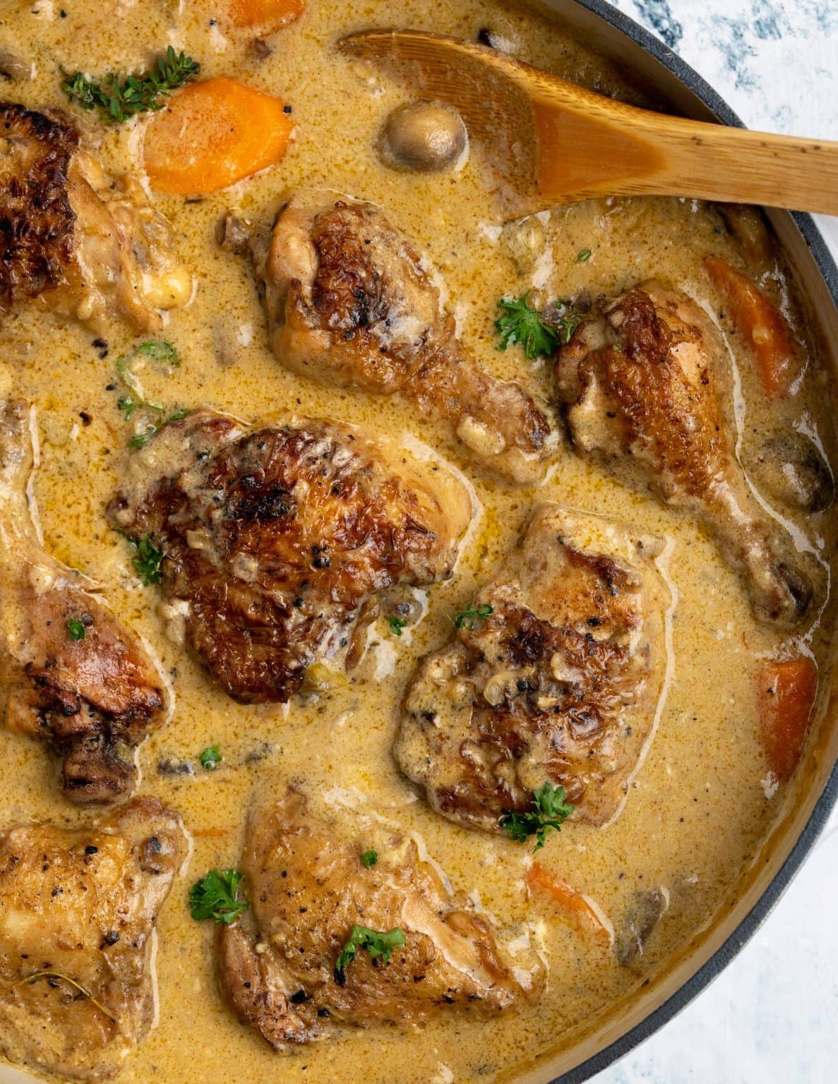 Chicken Fricassee The Flavours Of Kitchen