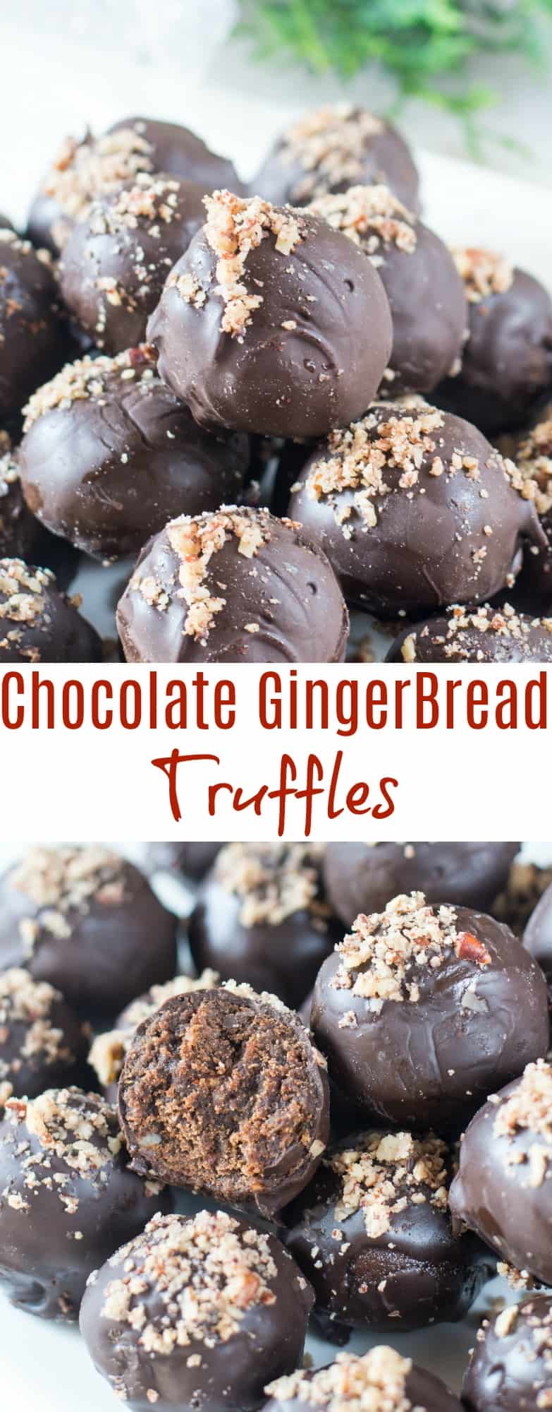 Chocolate Gingerbread Truffle