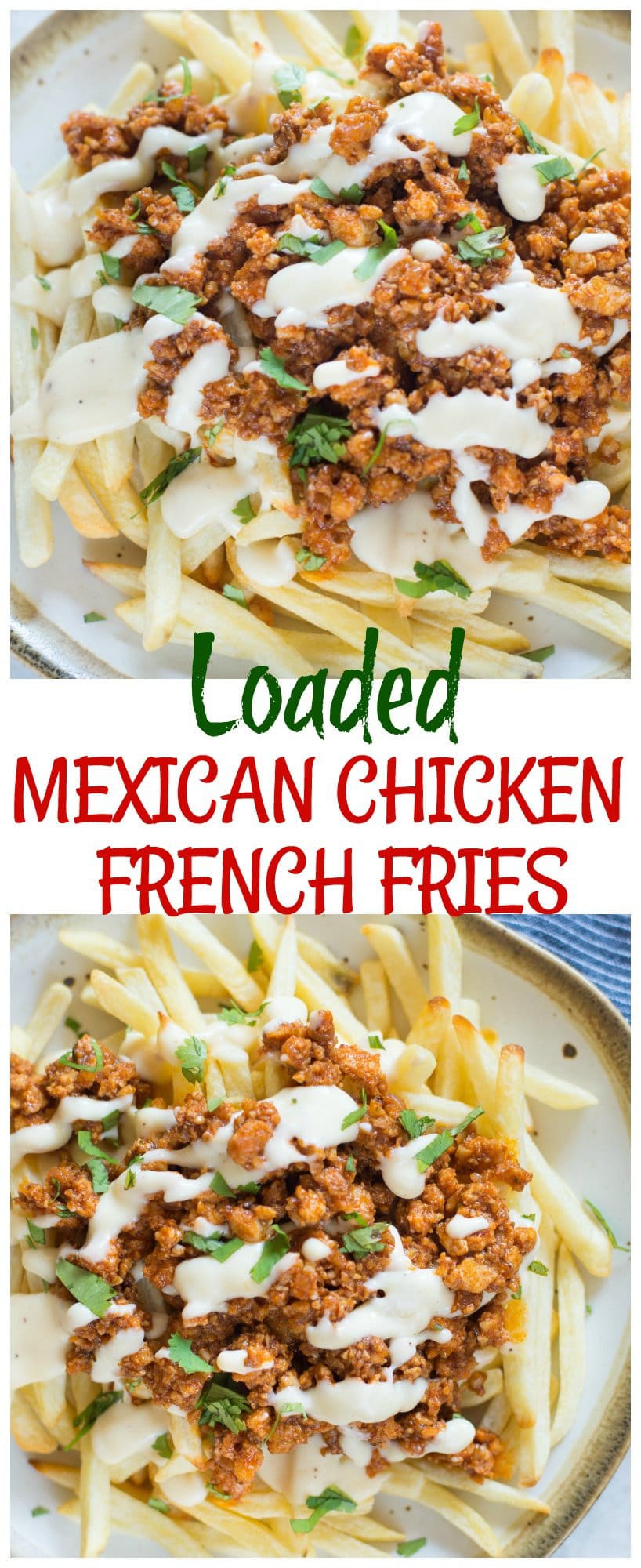 Loaded Mexican Chicken French Fries
