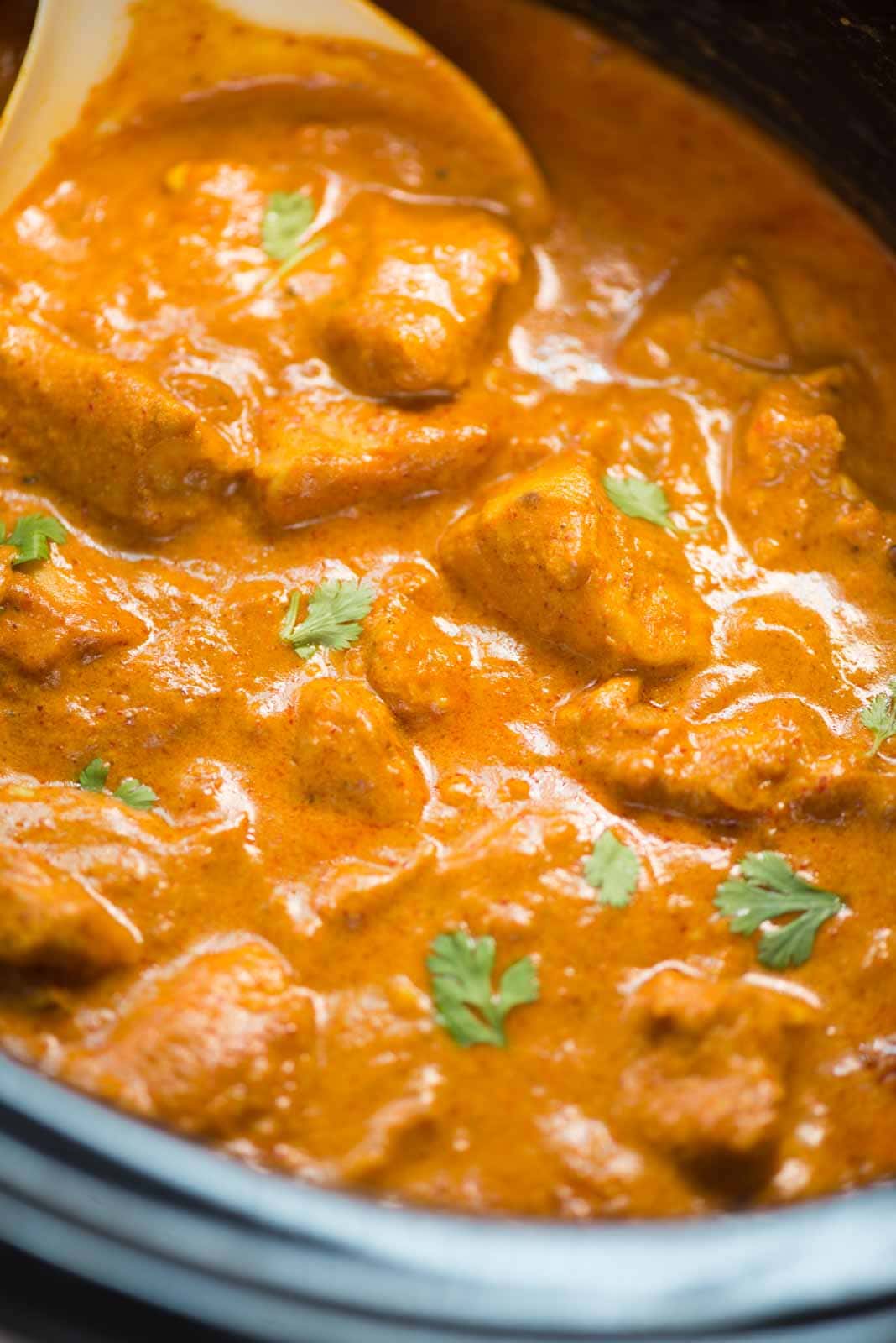 Close up view of coconut chicken curry with a creamy gravy and tender chicken pieces, served with chopped cilantro as garnish