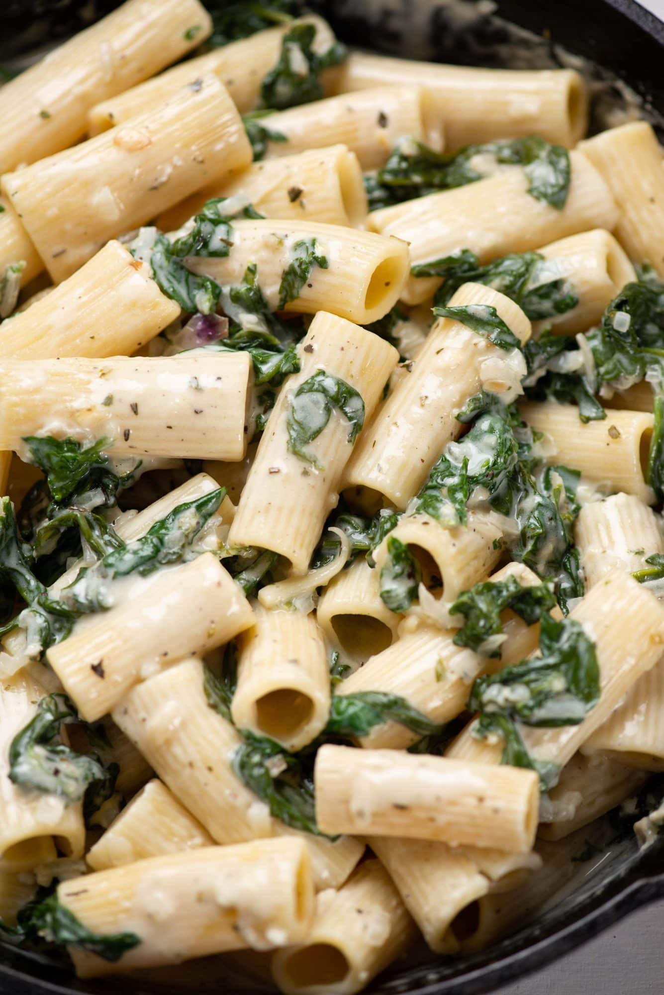 Close view of creamy pasta in a creamy sauce and spinach in it.