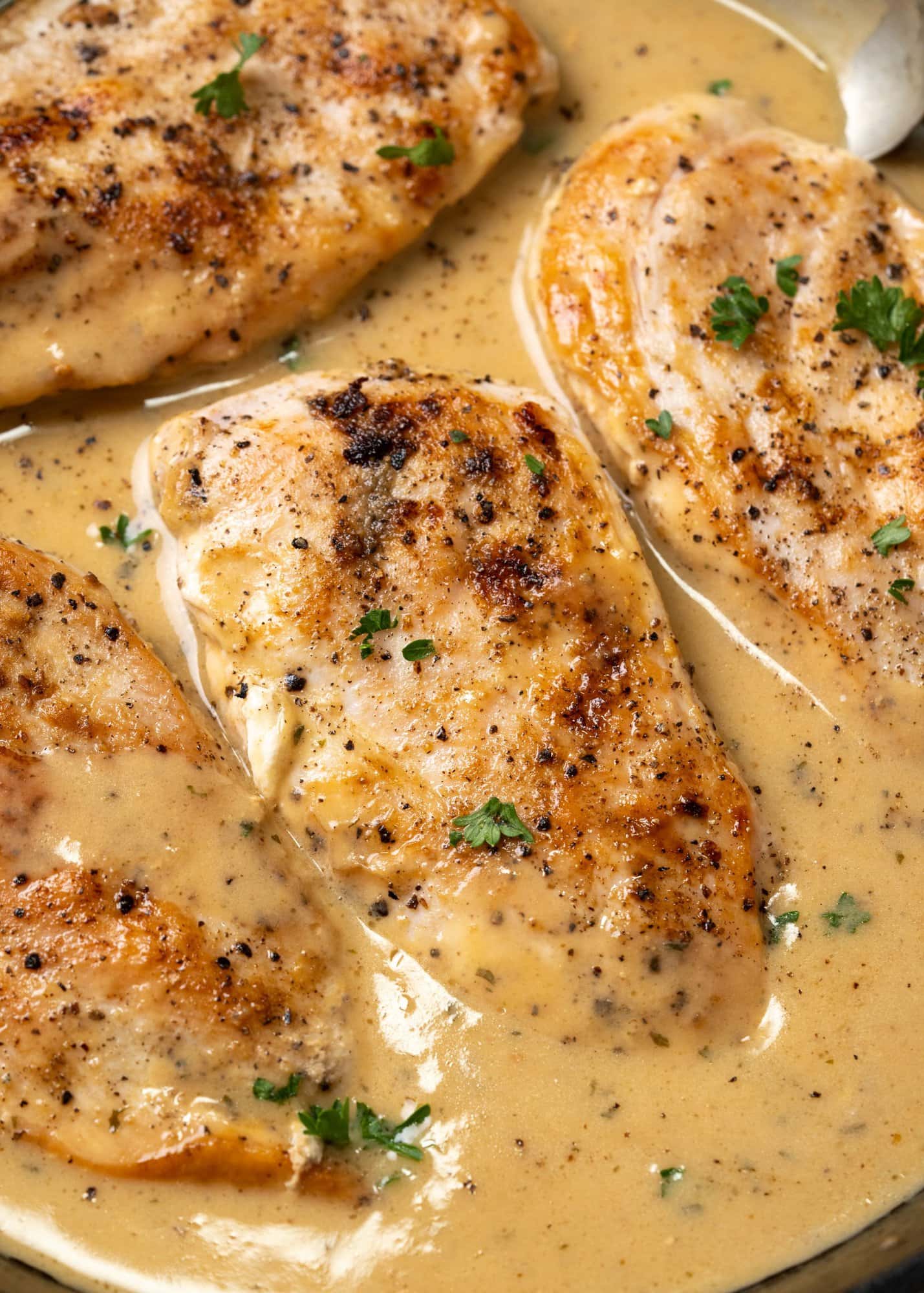 crispy pan seared chicken breast in a glossy creamy ranch sauce made with chicken stock and sour cream. 