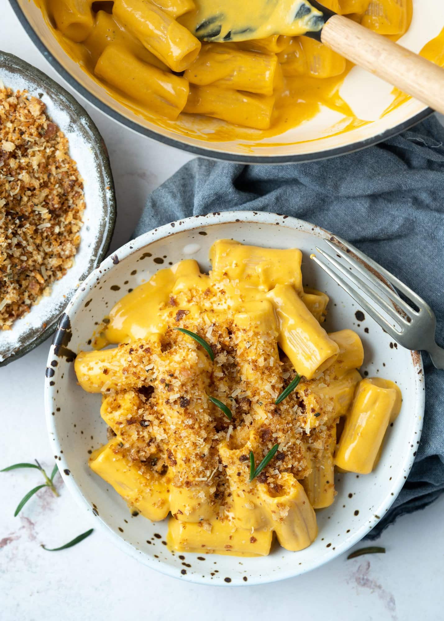 Bowl of Rigatoni pasta in a roasted butternut squash sauce, topped with breadcrumbs. 