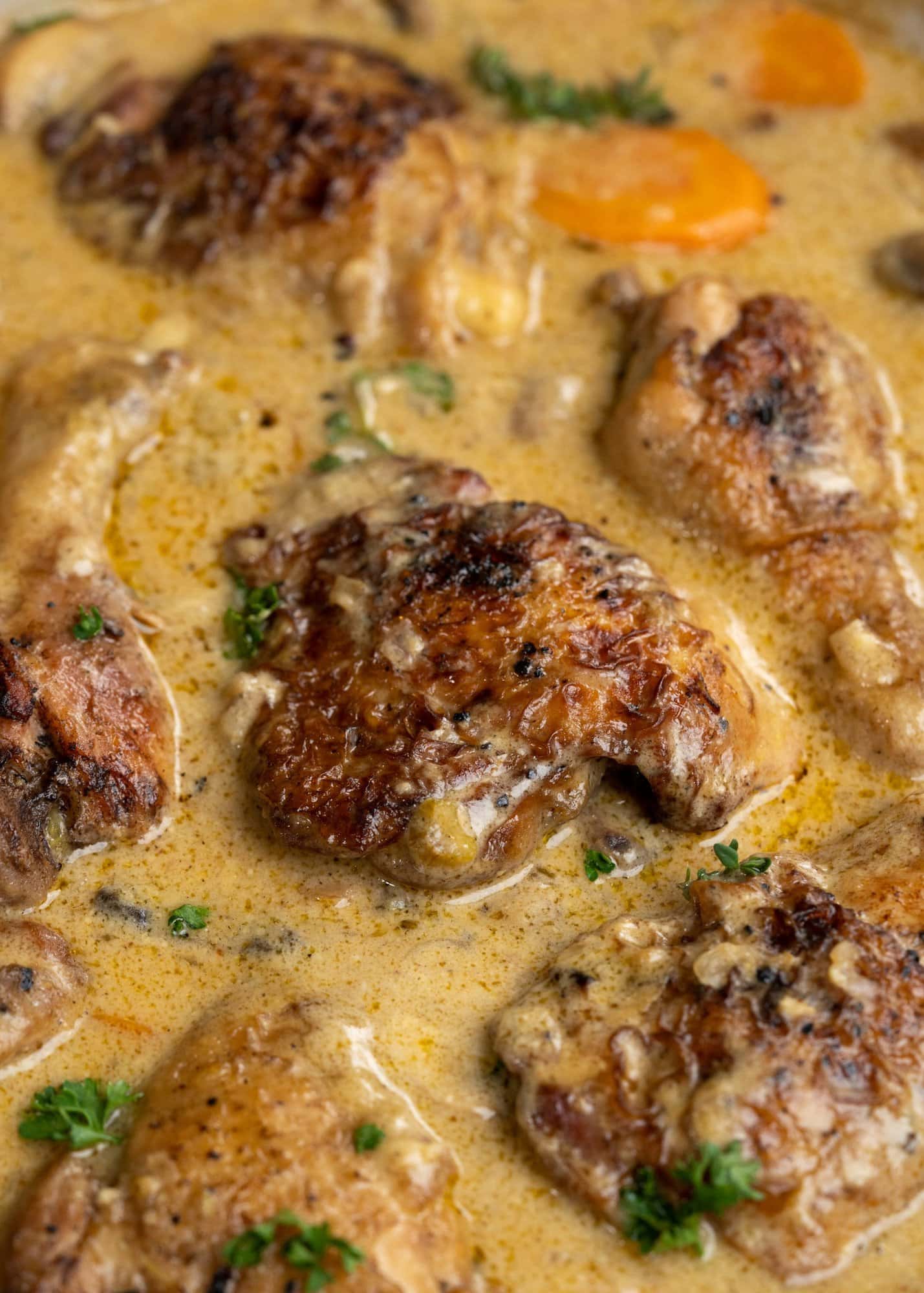 Close view of browned bone-in chicken thigh pieces with a creamy sauce packed with flavors from mushroom and stock.