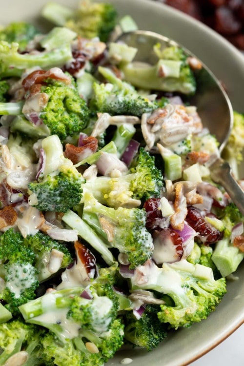 Close up view of broccoli salad shows tender yet crips, broccoli, chopped onions, bacon bits with a creamy yogurt dressing.