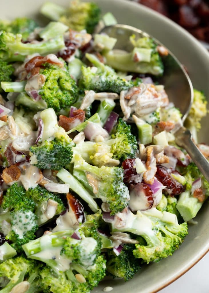 Close up view of broccoli salad shows tender yet crips, broccoli, chopped onions, bacon bits with a creamy yogurt dressing.