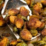 Oven roasted brussels sprouts showing a brown caramelization and picked up with a spatula.