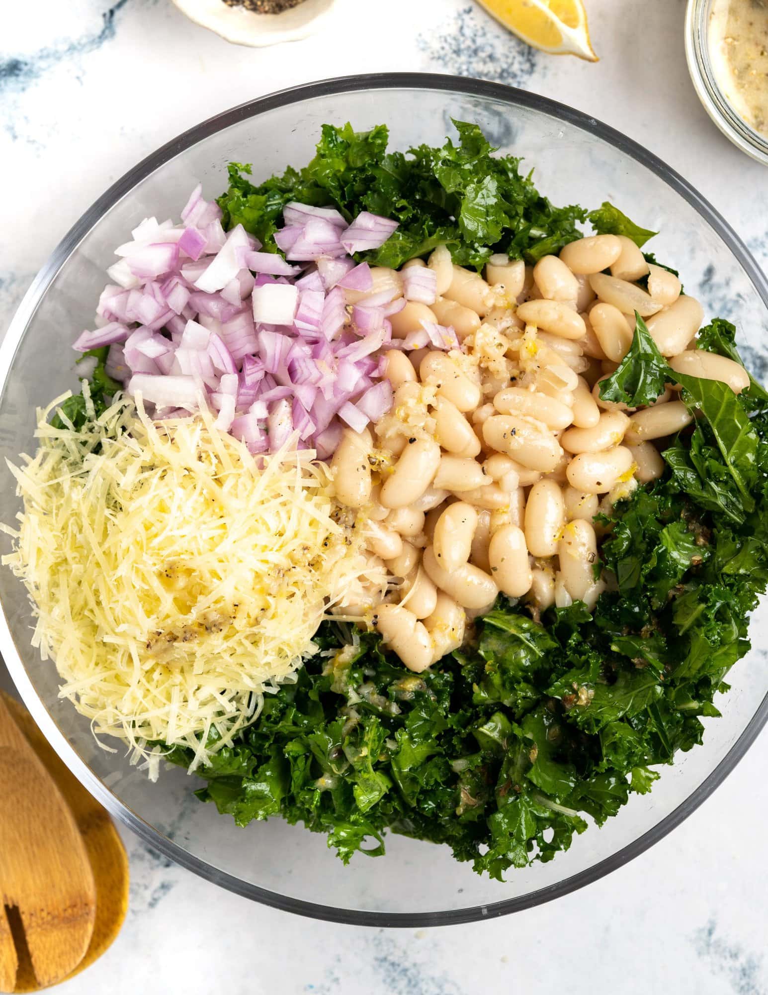 Ingredients for white bean salad - cannellini beans, kale, onions, parmesan and lemon vinaigrette