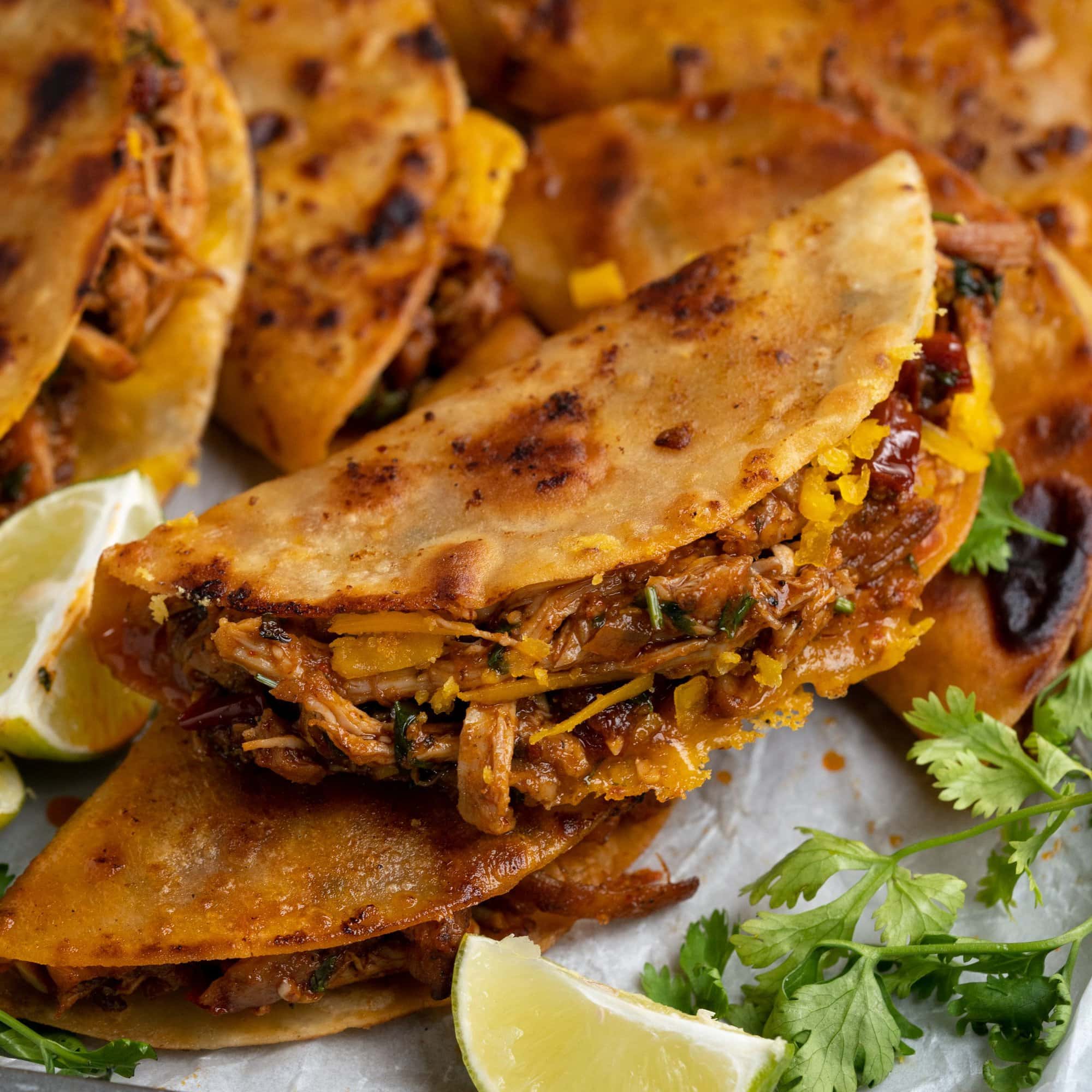 Close up of Chicken Tacos - crispy pan fried tortillas filled with juicy shredded chicken thighs and Mexican cheese.