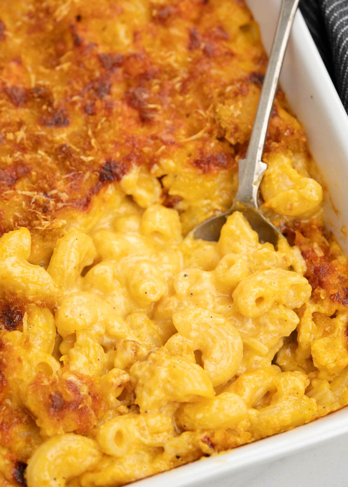 Close up of Cheesy Baked Mac and Cheese topped with breadcrumb topping, in a casserole dish
