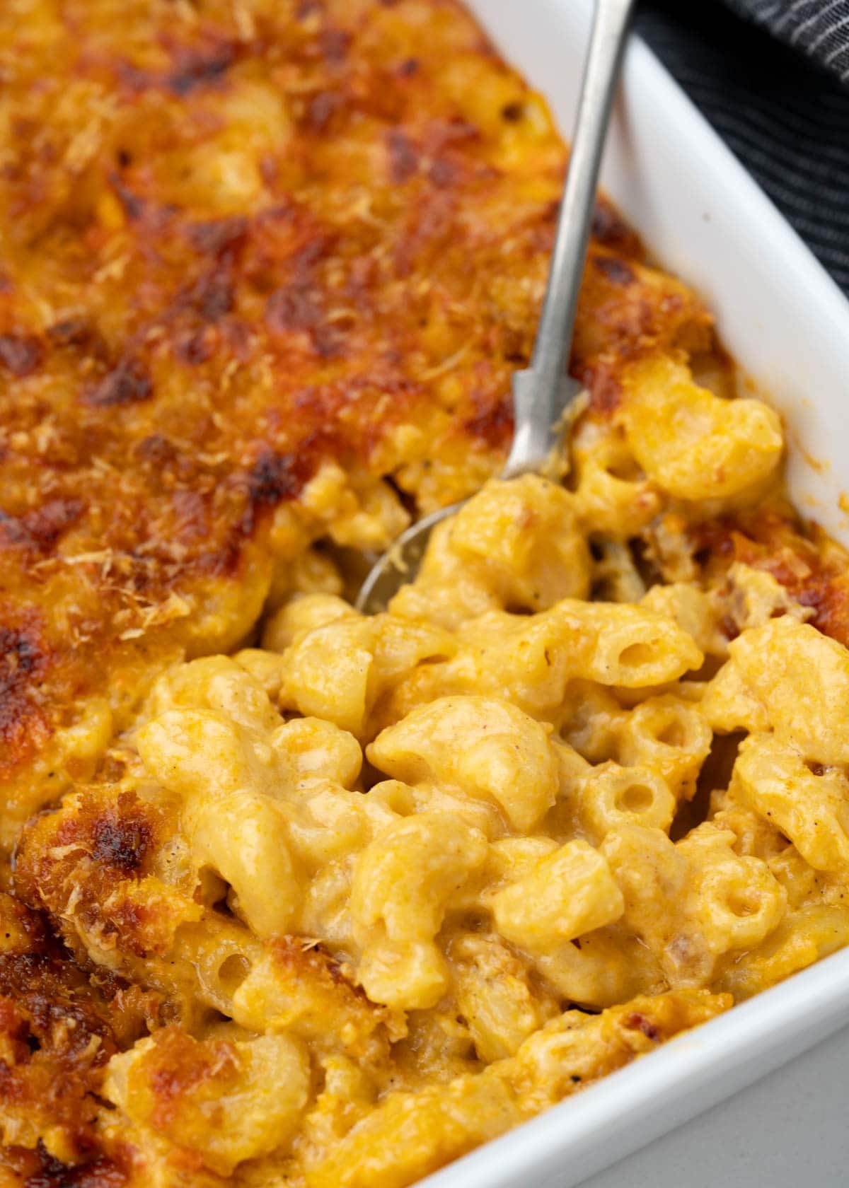Close up of creamy baked mac and cheese with a crispy breadcrumb parmesan topping