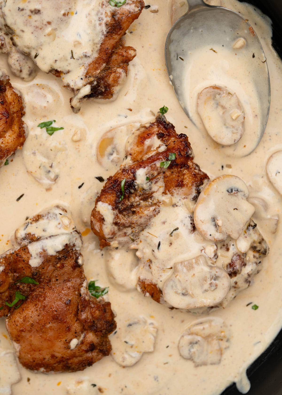 Close up of pan fried chicken thighs in a creamy mushroom sauce. 