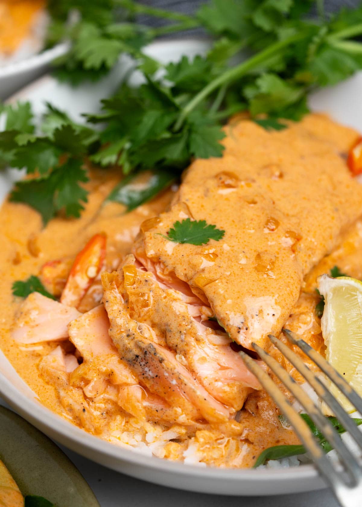 Salmon fillets properly seasoned result in tender meat as shown when pinched with a fork. Fillets are served on rice and with a creamy curry sauce.