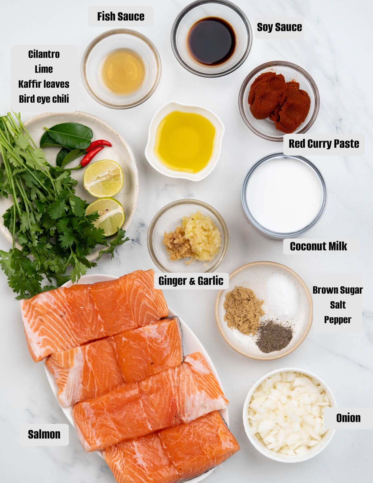 Image showing ingredients with respective labels, you will need to make coconut salmon curry.