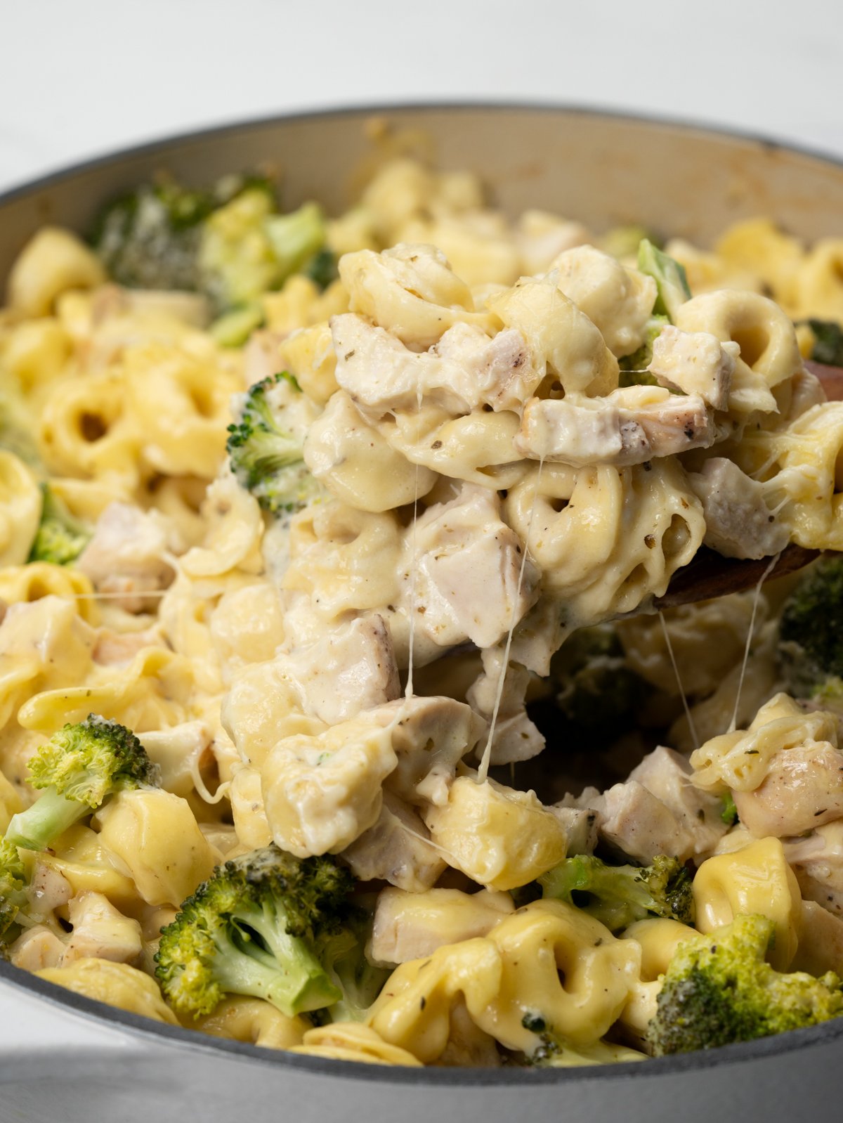 Baked Chicken Tortellini with cheese tortellini, rotisserie chicken, broccoli florets and cheese parmesan sauce.