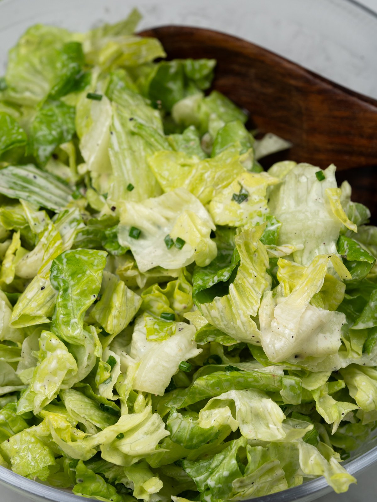 Crispy lettuce salad with creamy dressing