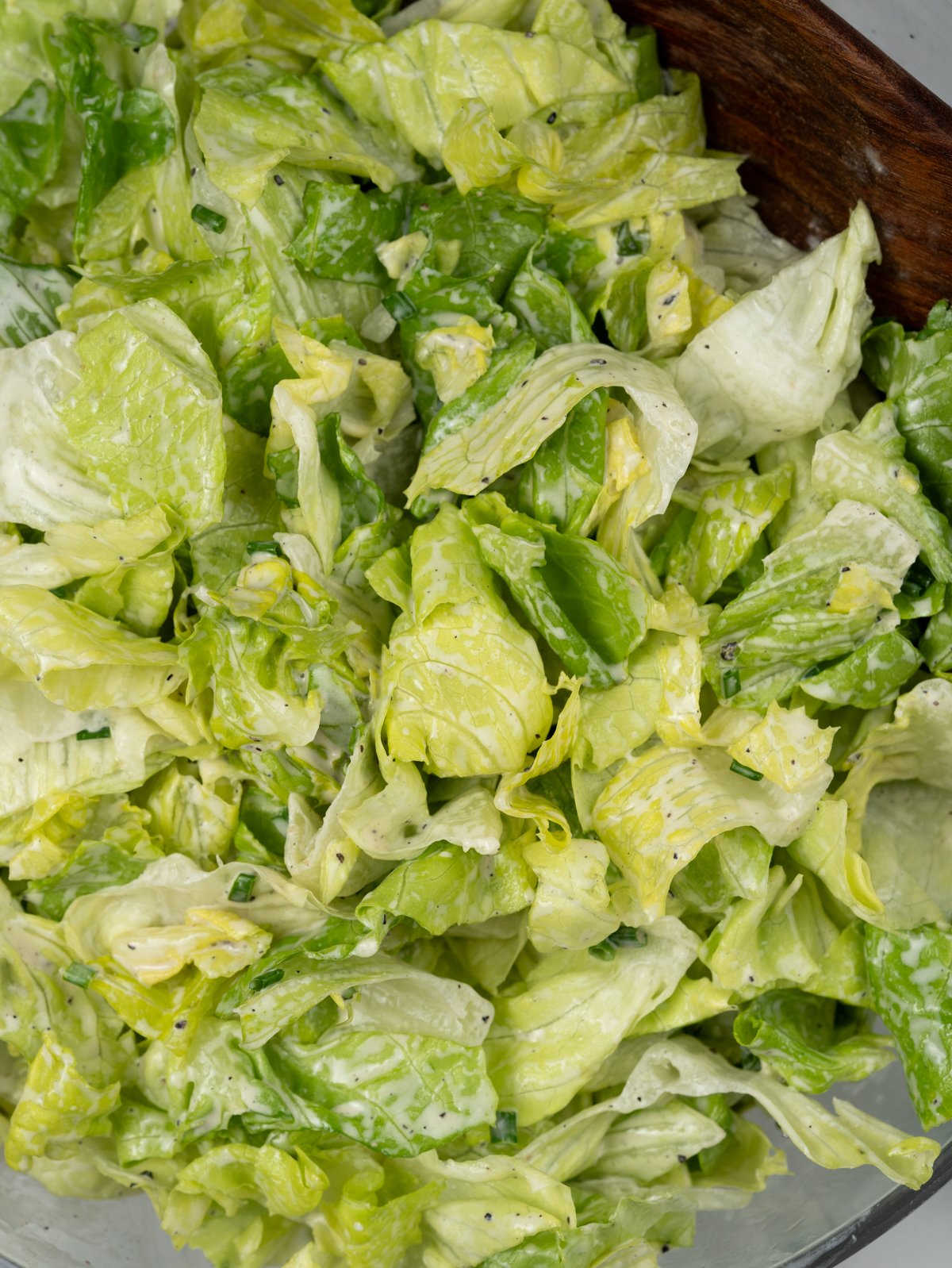 Crispy lettuce salad with creamy dressing